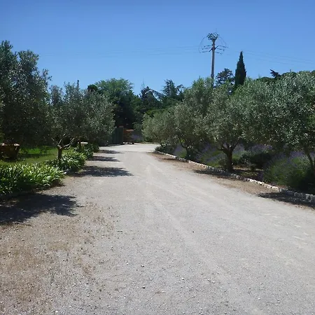 De Gleyzes De Charme