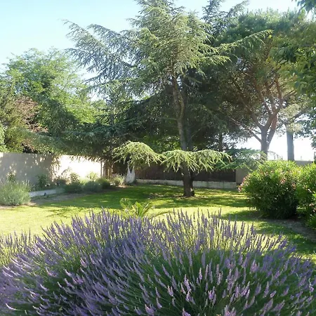 De Gleyzes De Charme
